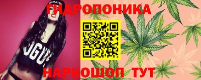твердый Аргун