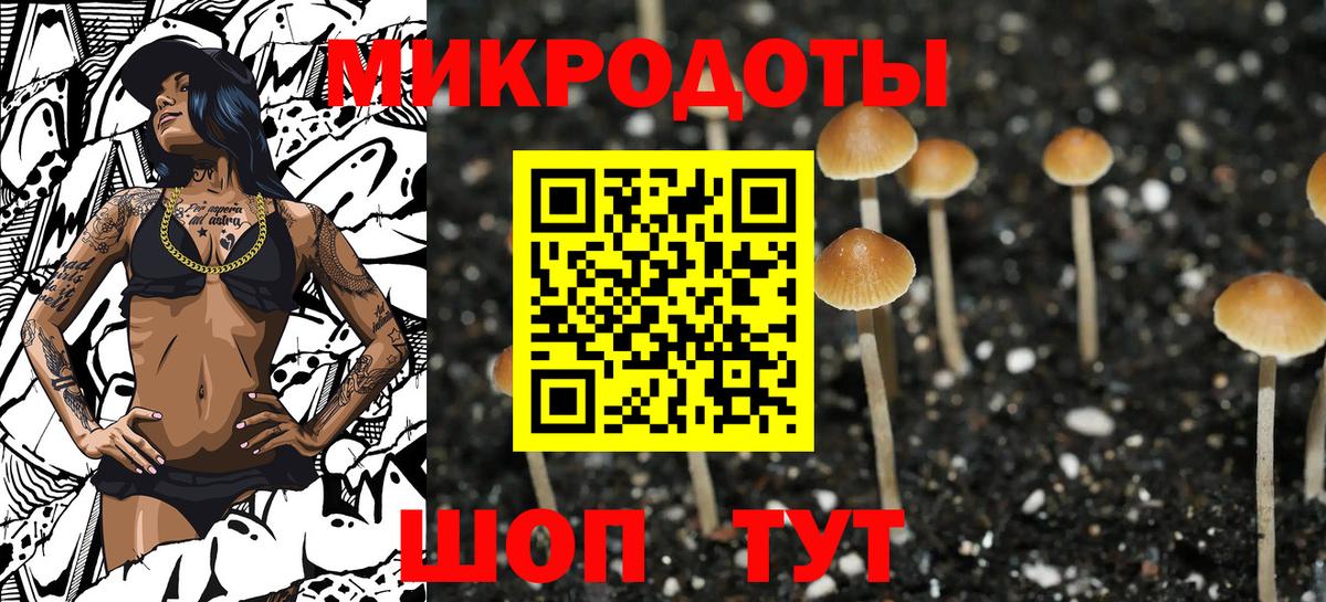 Псилоцибиновые грибы мицелий  Псилоцибиновые грибы MAGIC MUSHROOMS  Вход с VPN  Белореченск 