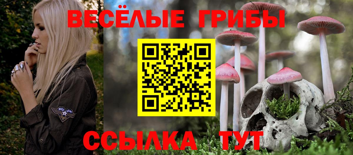 Псилоцибиновые грибы Magic Shrooms Белореченск